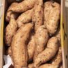 Sweet Potato - Image 3