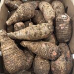 Cocoyam - Image 2